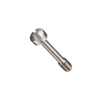 Fillister head screw