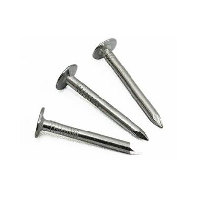 Stainless steel roofing nails