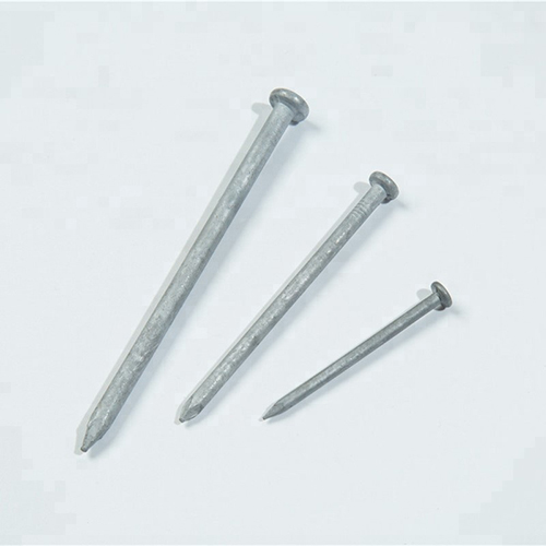 Galvanized steel nail