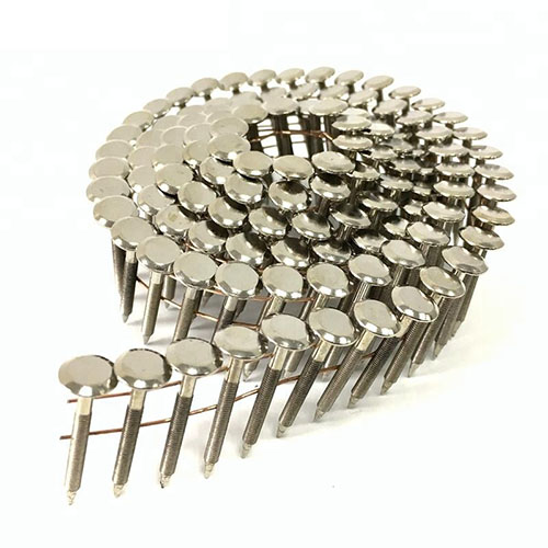 Stainless steel coil nails